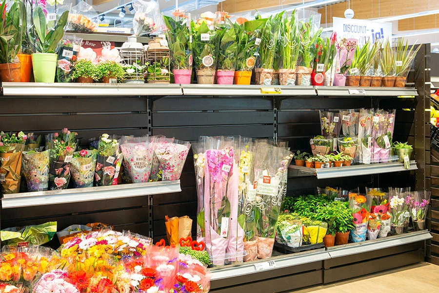 Blumen und Pflanzen